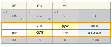 傷官 食神|【四柱推命/傷官】性格と人生「内向的で神経質、高。